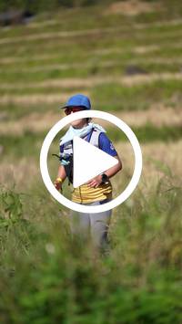 BIB:  <button type="button" onclick="openModal(26787166)" class="btn btn-primary btn-sm float-right" data-toggle="modal" data-target=".modal-high-quality">
                <i class="fa fa-download"></i> Download
                </button>